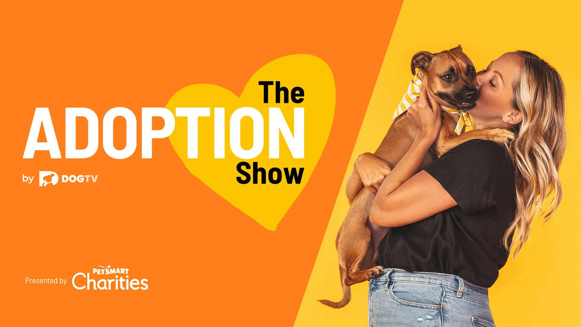 Dog TV The Adoption Show 16 9