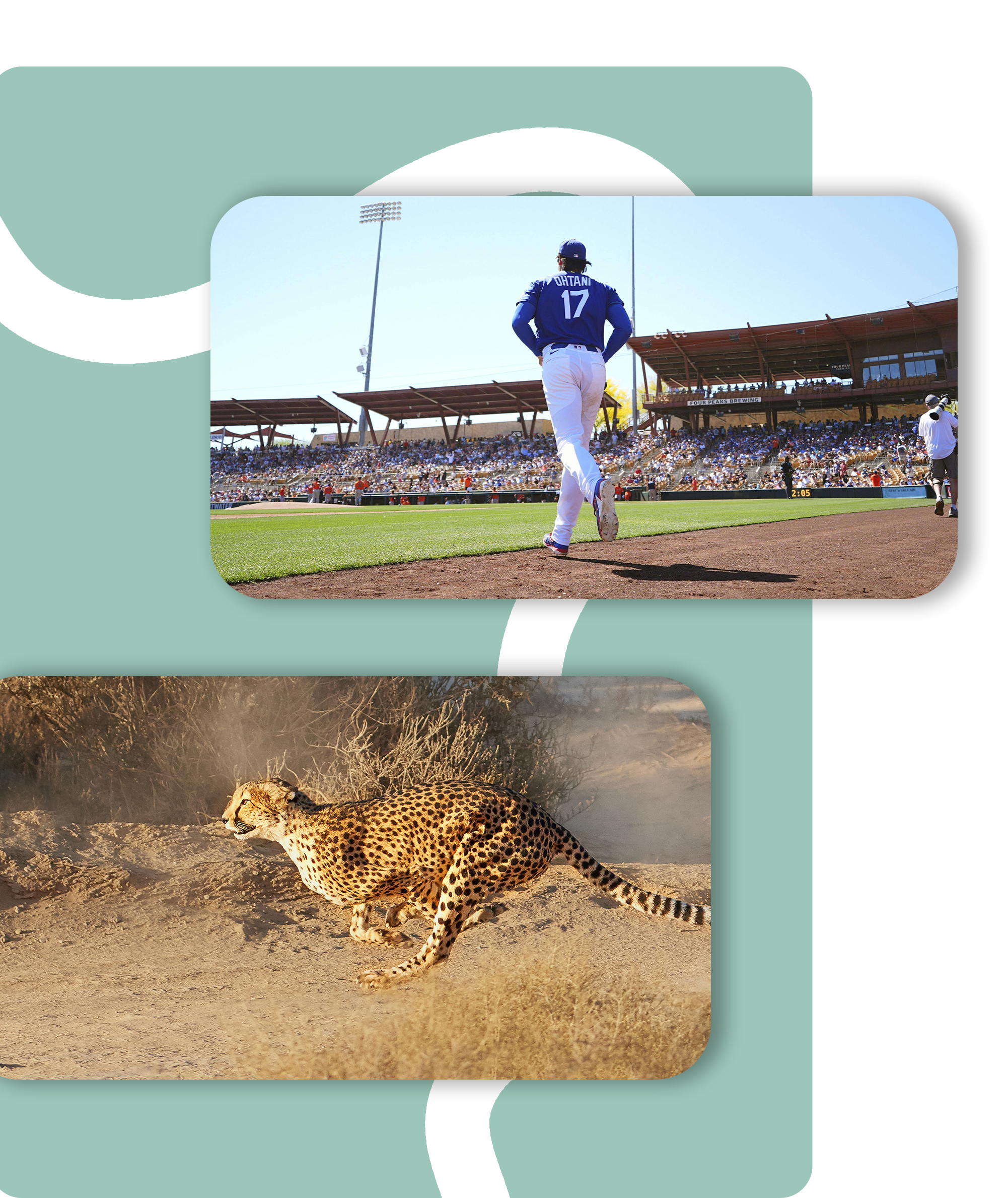 UC ai animal sport