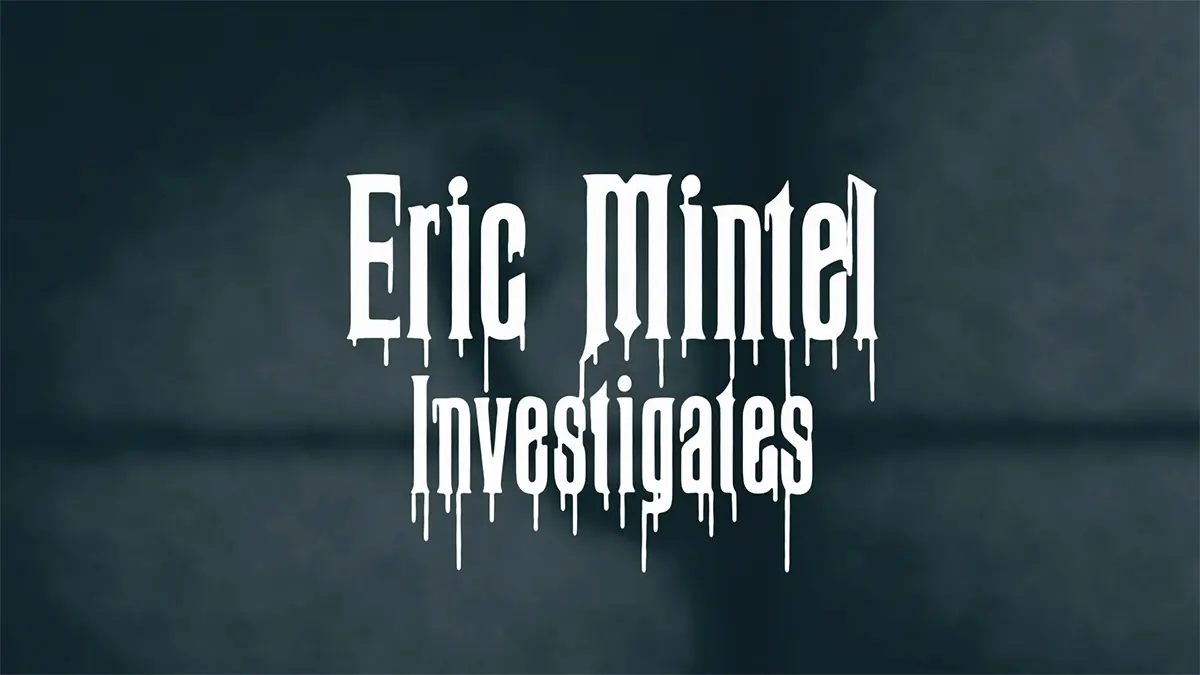 Eric mintel investigates web