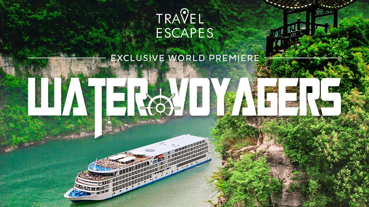 May Premieres on VideoElephant FAST Channels: Niche Hits, Big Impact