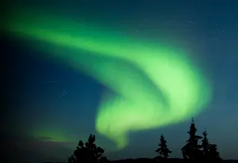 New York Post mobile