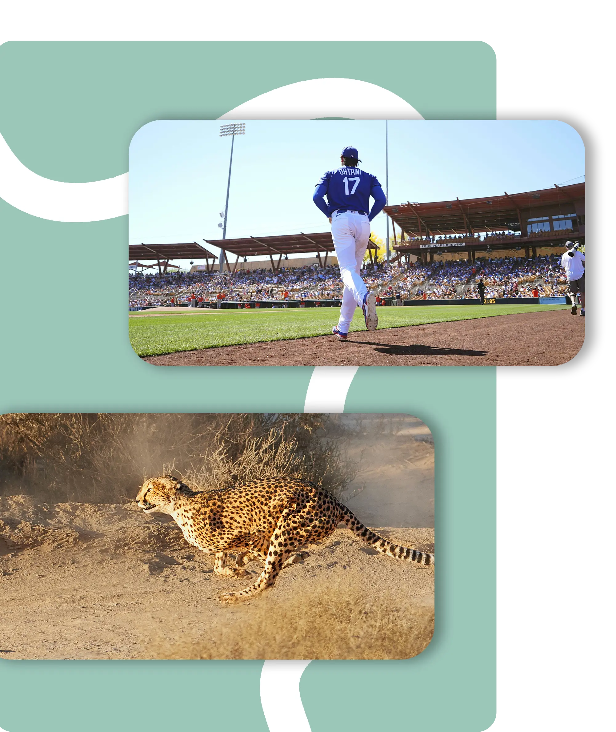 UC ai animal sport