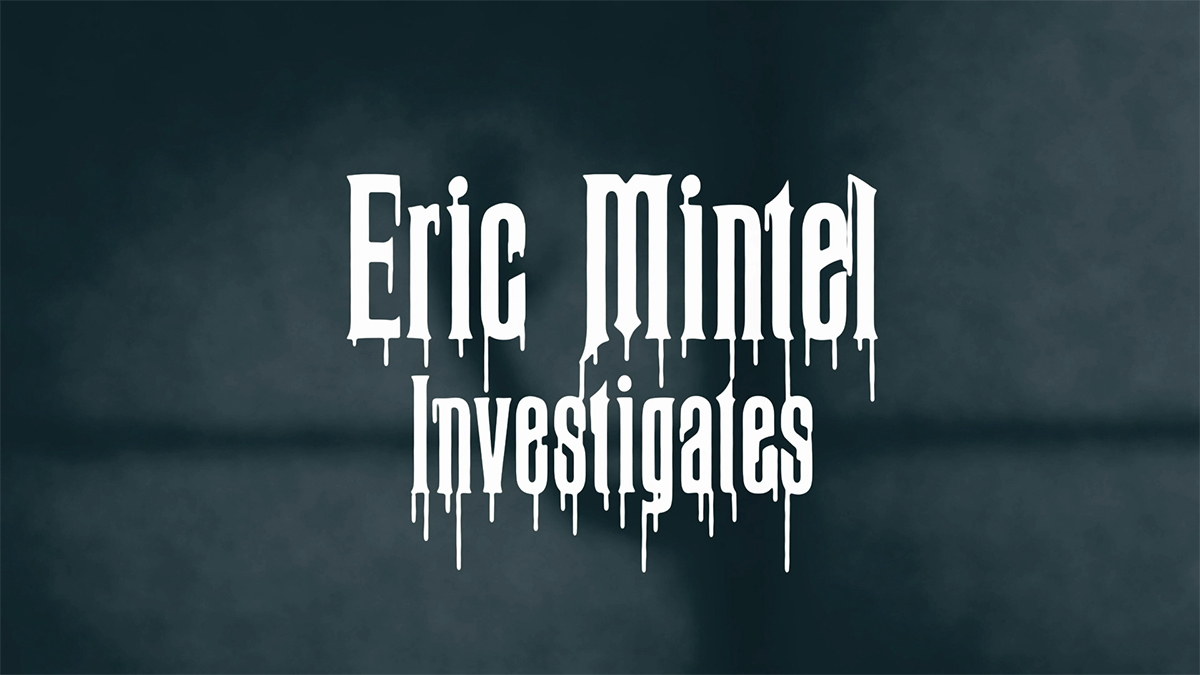 Eric mintel investigates web