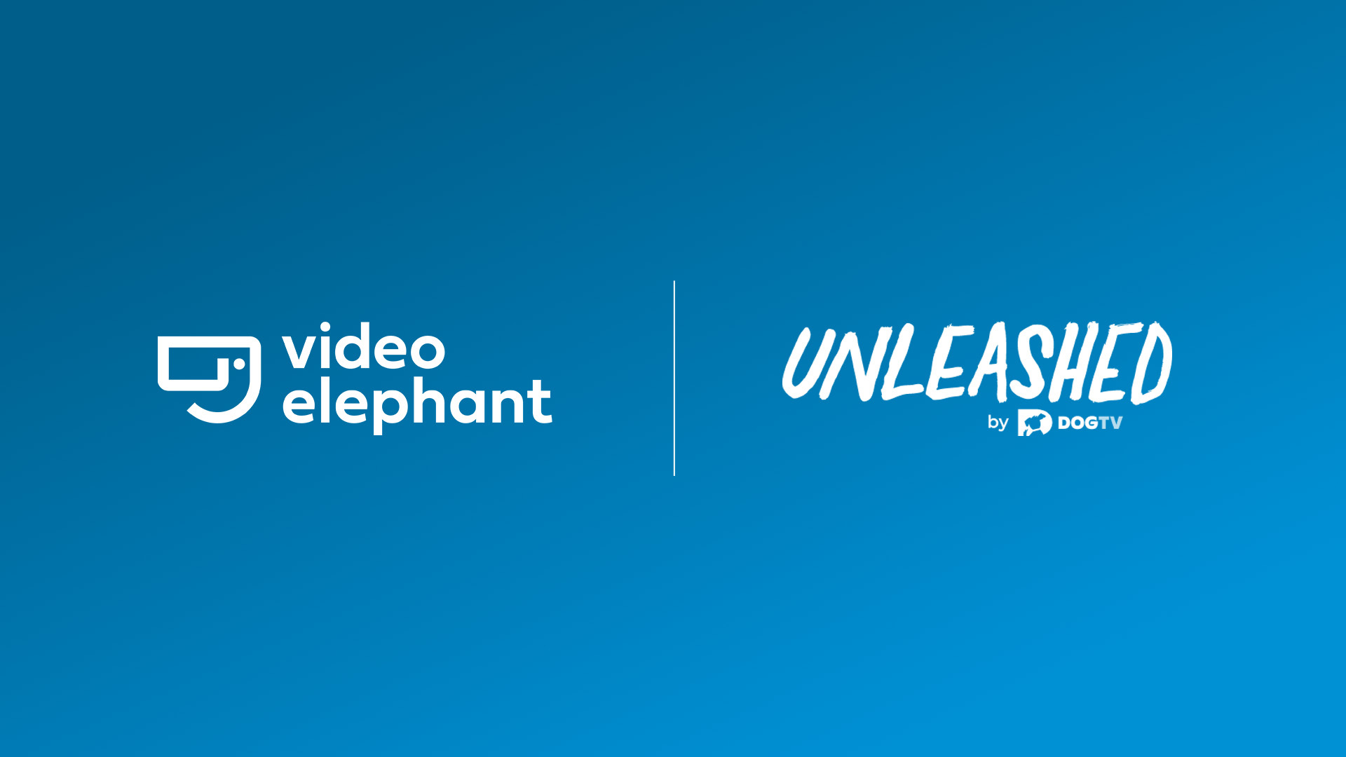 VideoElephant Fetches “Unleashed By Dogtv”: Takes Over Fast Management and Distribution