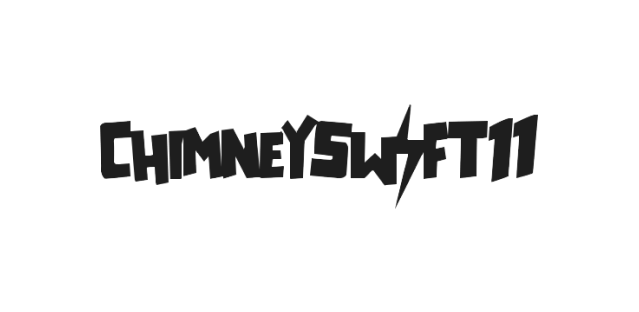 ChimneySwift11